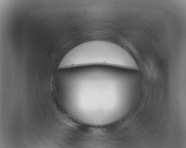 X0000075840073200609150922