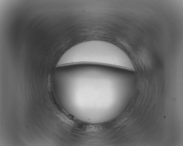 X0000075840077200609150923