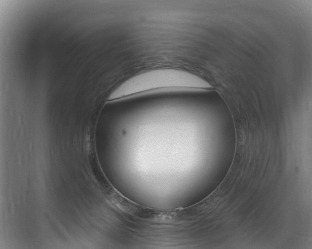 X0000075840080200609150923