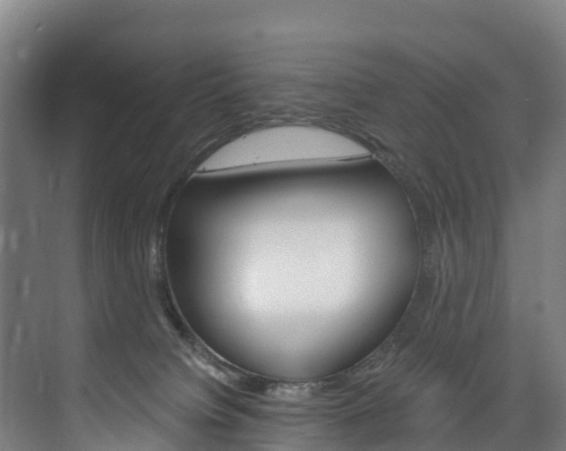 X0000075840084200609150923