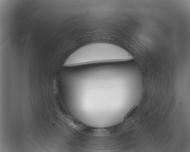 X0000075840087200609150923