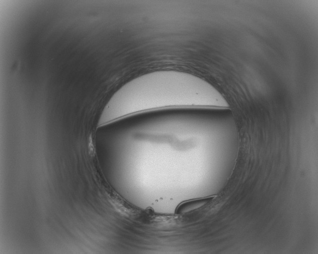 X0000075840089200609150923