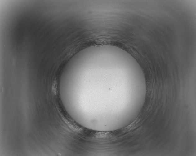 X0000075840090200609150923