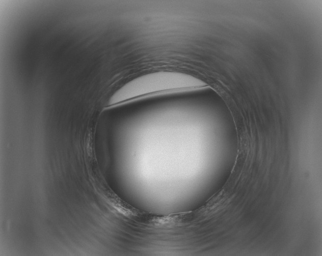 X0000075840092200609150923