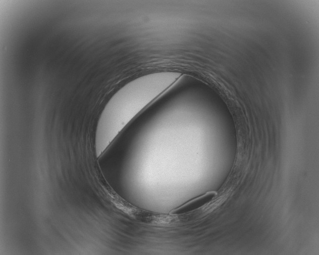 X0000075840096200609150923