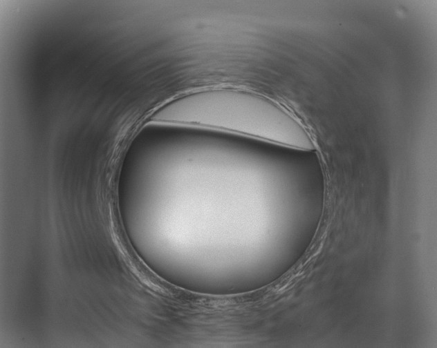 X0000075840097200609150922