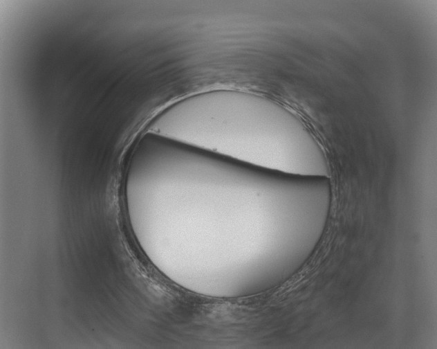 X0000075840098200609150922