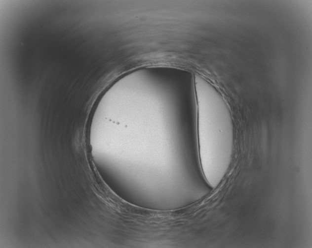 X0000075840099200609150922