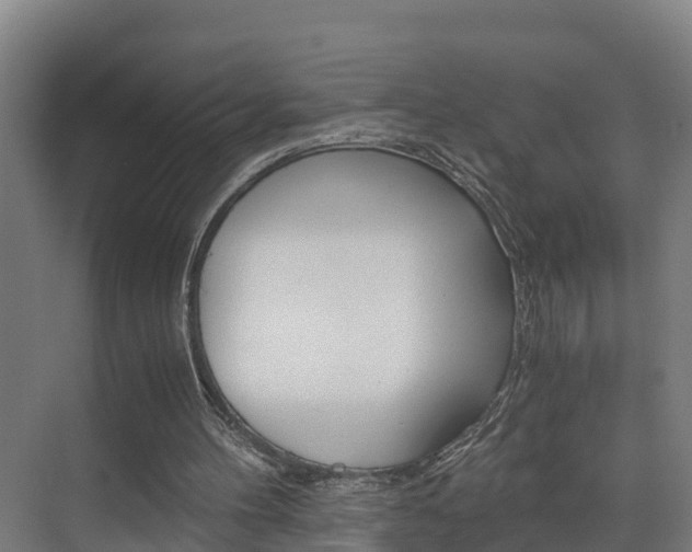 X0000075840100200609150922