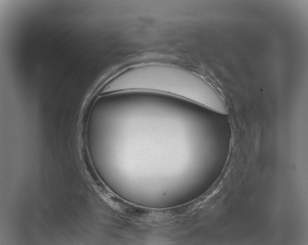 X0000075840101200609150922