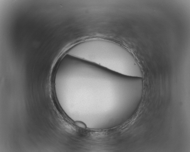 X0000075840102200609150922