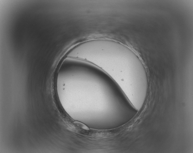 X0000075840103200609150922