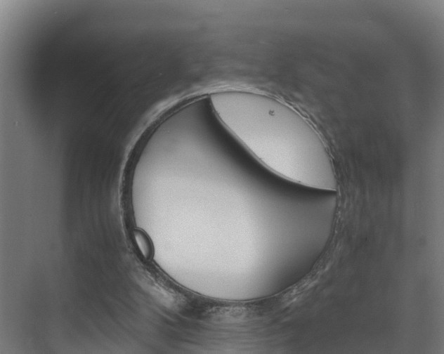 X0000075840104200609150922