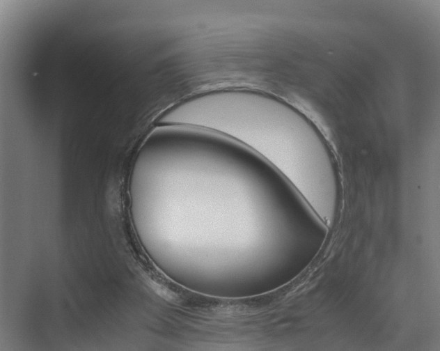 X0000075840105200609150922