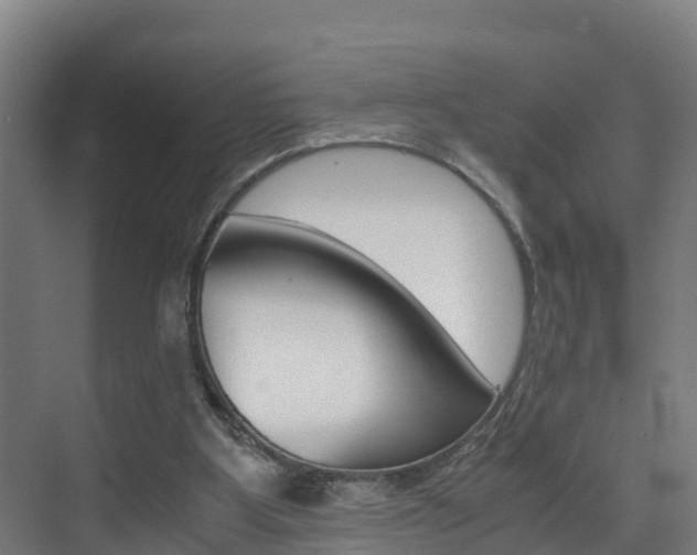 X0000075840107200609150922