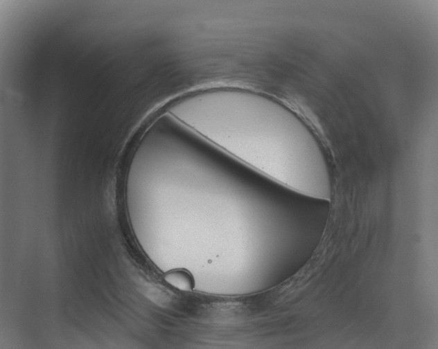 X0000075840108200609150922