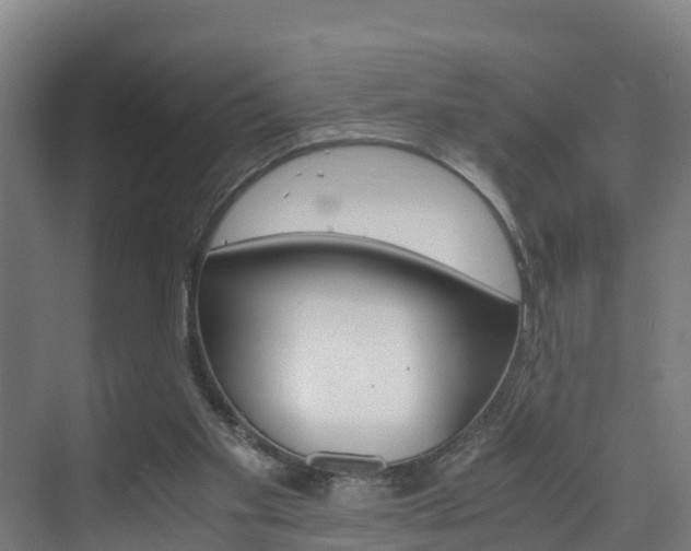 X0000075840109200609150922