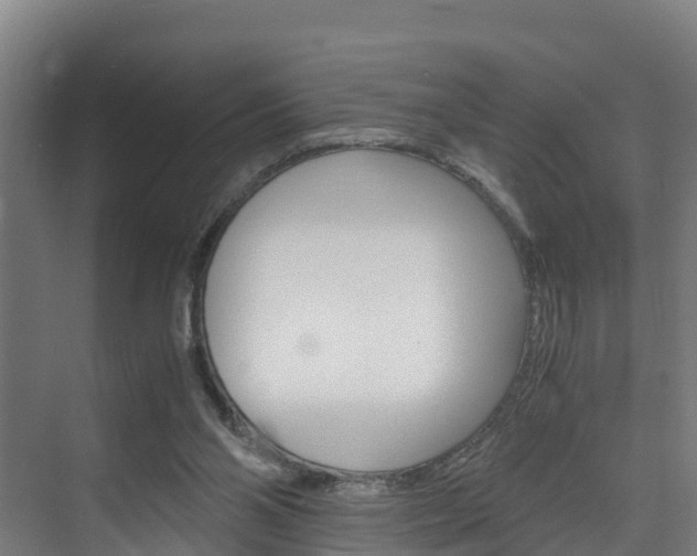 X0000075840110200609150922