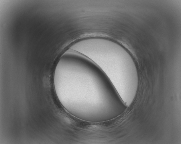 X0000075840111200609150922