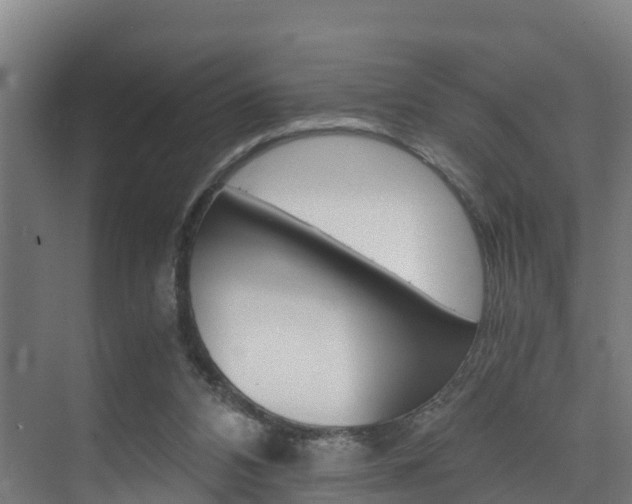 X0000075840112200609150922