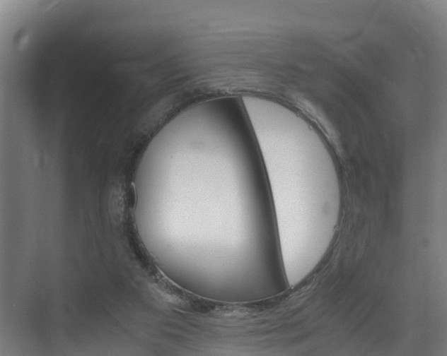 X0000075840113200609150922