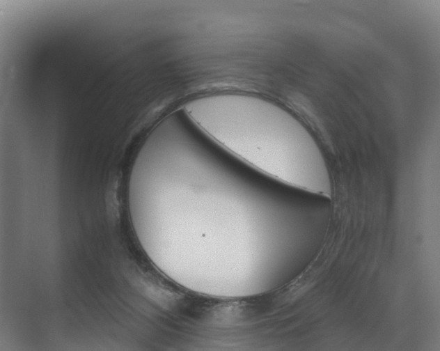 X0000075840116200609150922