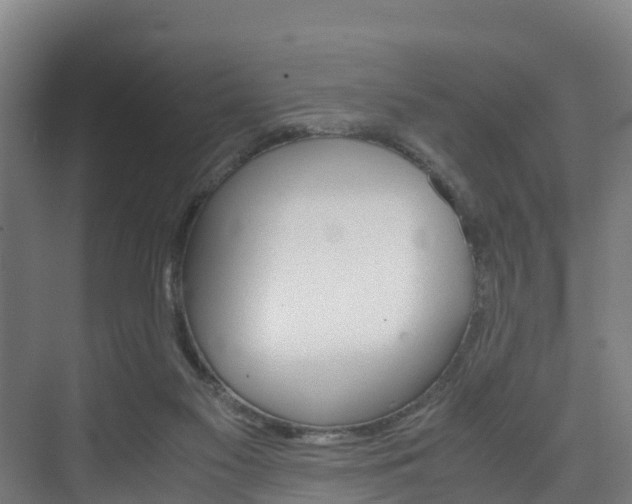 X0000075840117200609150922