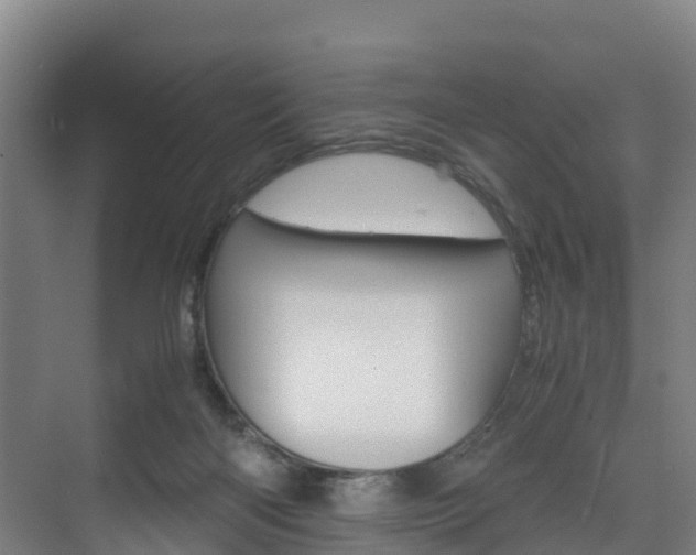 X0000075840122200609150922