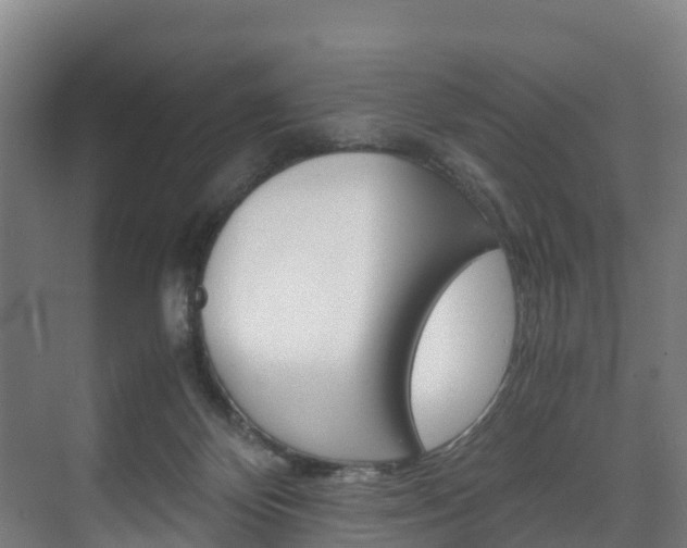 X0000075840124200609150922