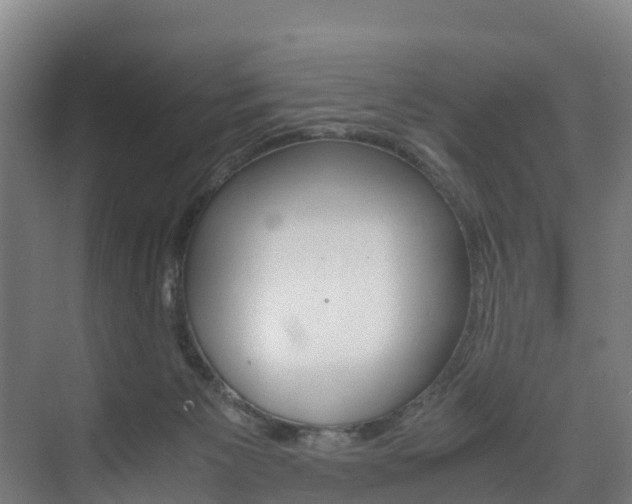 X0000075840125200609150922