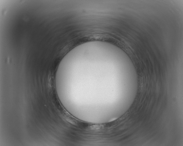 X0000075840126200609150922