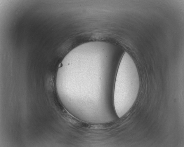 X0000075840127200609150922