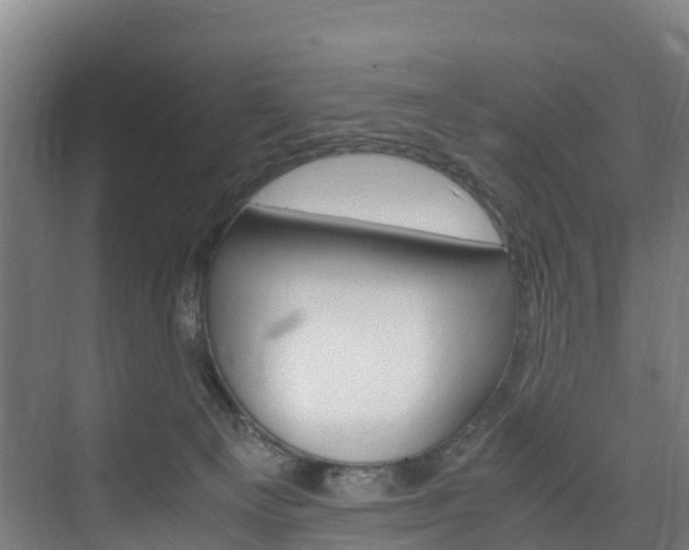 X0000075840129200609150922