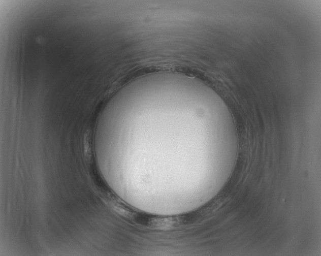 X0000075840131200609150921