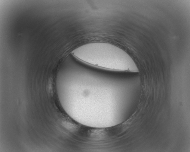 X0000075840132200609150921