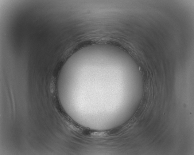 X0000075840133200609150921