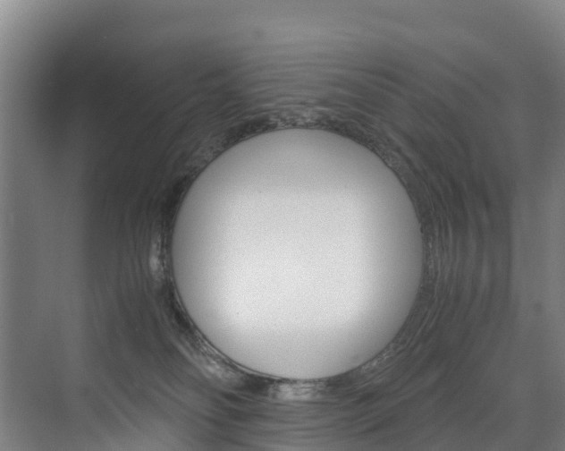 X0000075840134200609150921