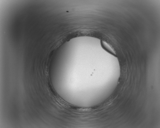 X0000075840135200609150921