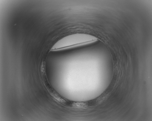 X0000075840137200609150921