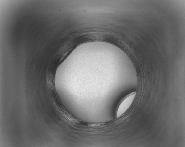 X0000075840141200609150921