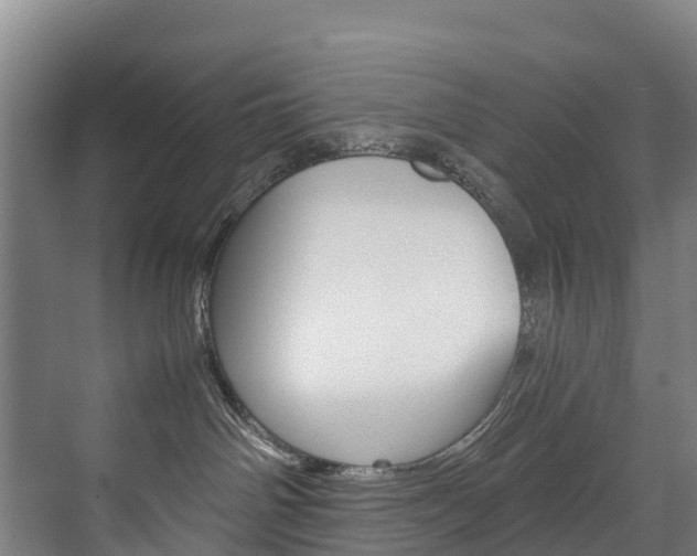 X0000075840142200609150921