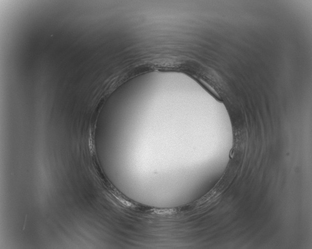 X0000075840143200609150921