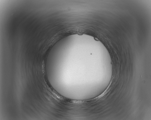 X0000075840144200609150921