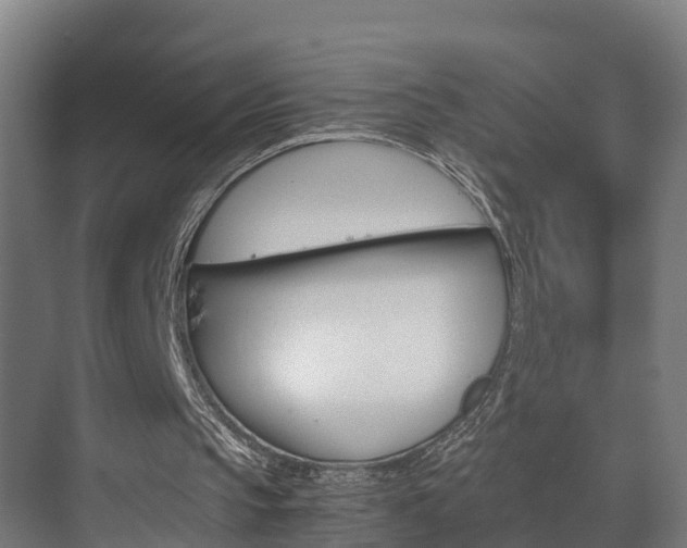 X0000075840145200609150920