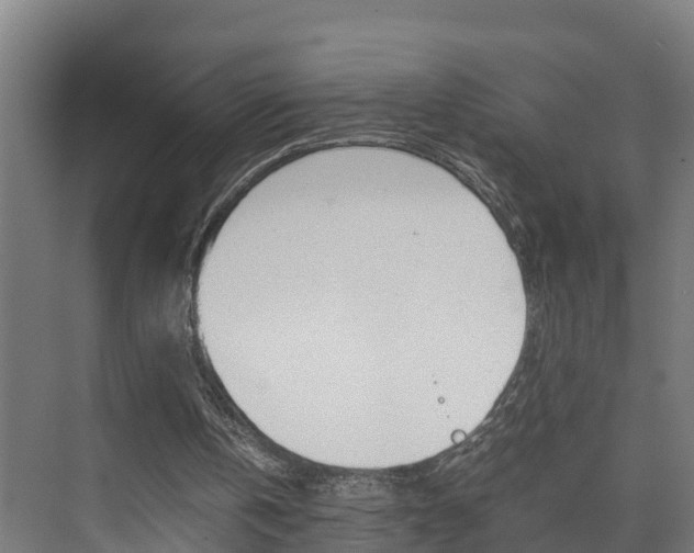 X0000075840146200609150920