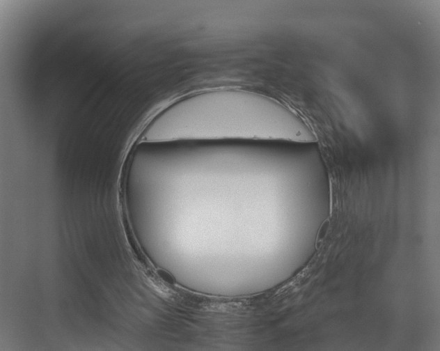 X0000075840147200609150920