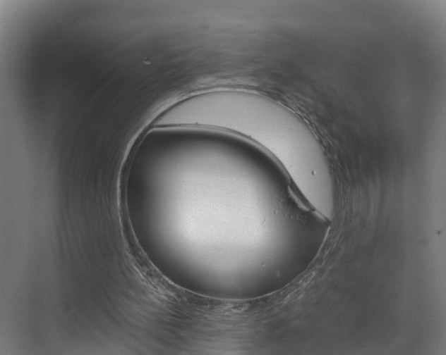 X0000075840148200609150920