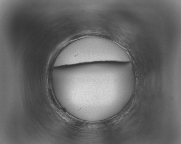 X0000075840149200609150921