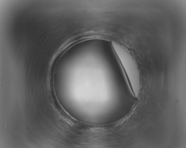 X0000075840150200609150921