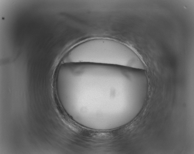 X0000075840151200609150921